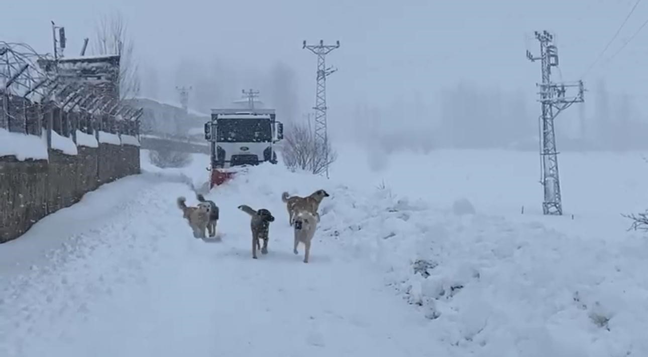 sirnakta kapali koy yollari dozerlerle aciliyor 0 pszpMmCb