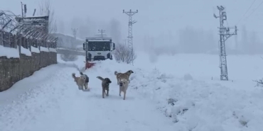 sirnakta-kapali-koy-yollari-dozerlerle-aciliyor-N9vkqnQN.jpg