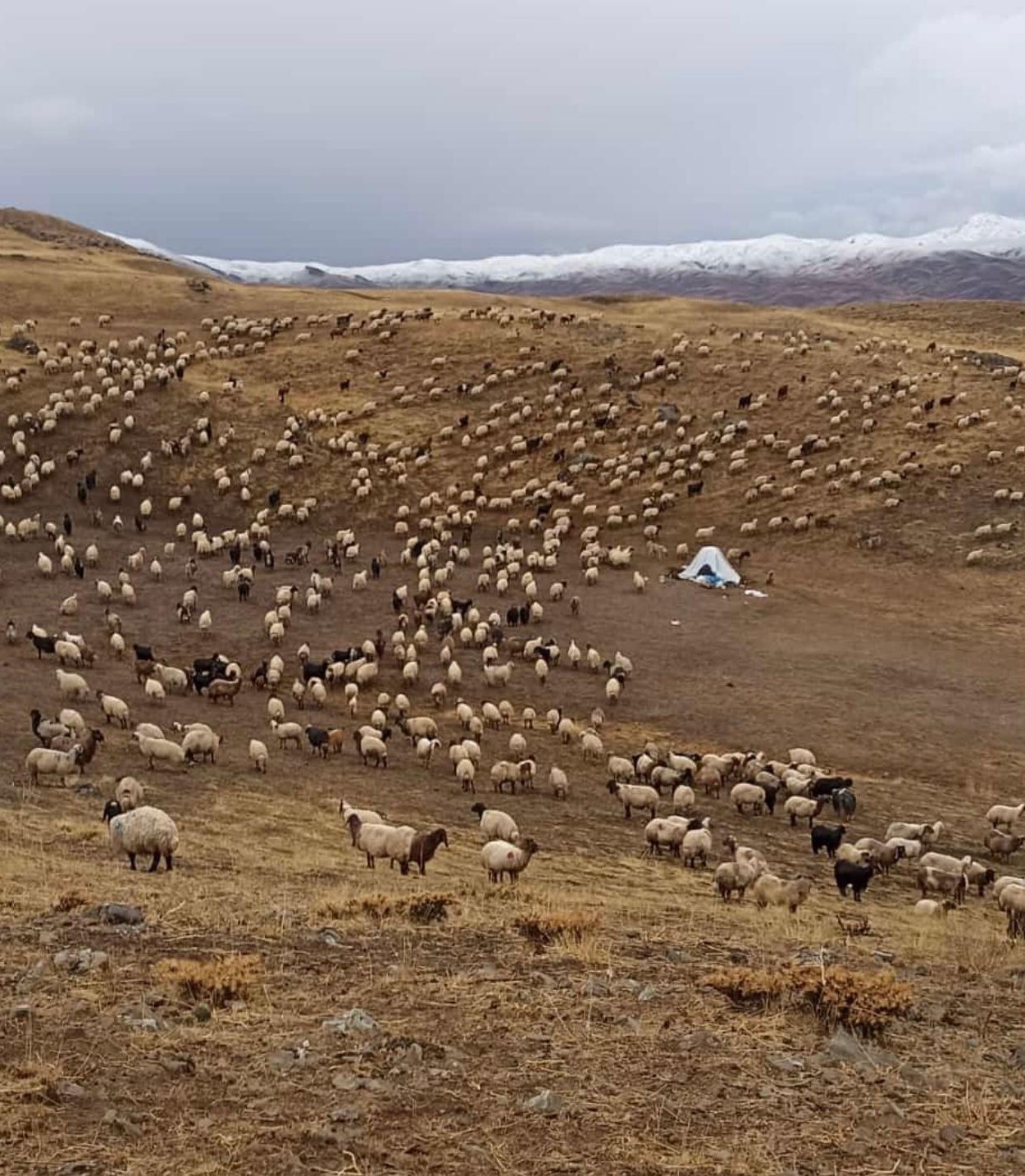 sirnakta kar yagisi erken basladi 1 OuGAjTut