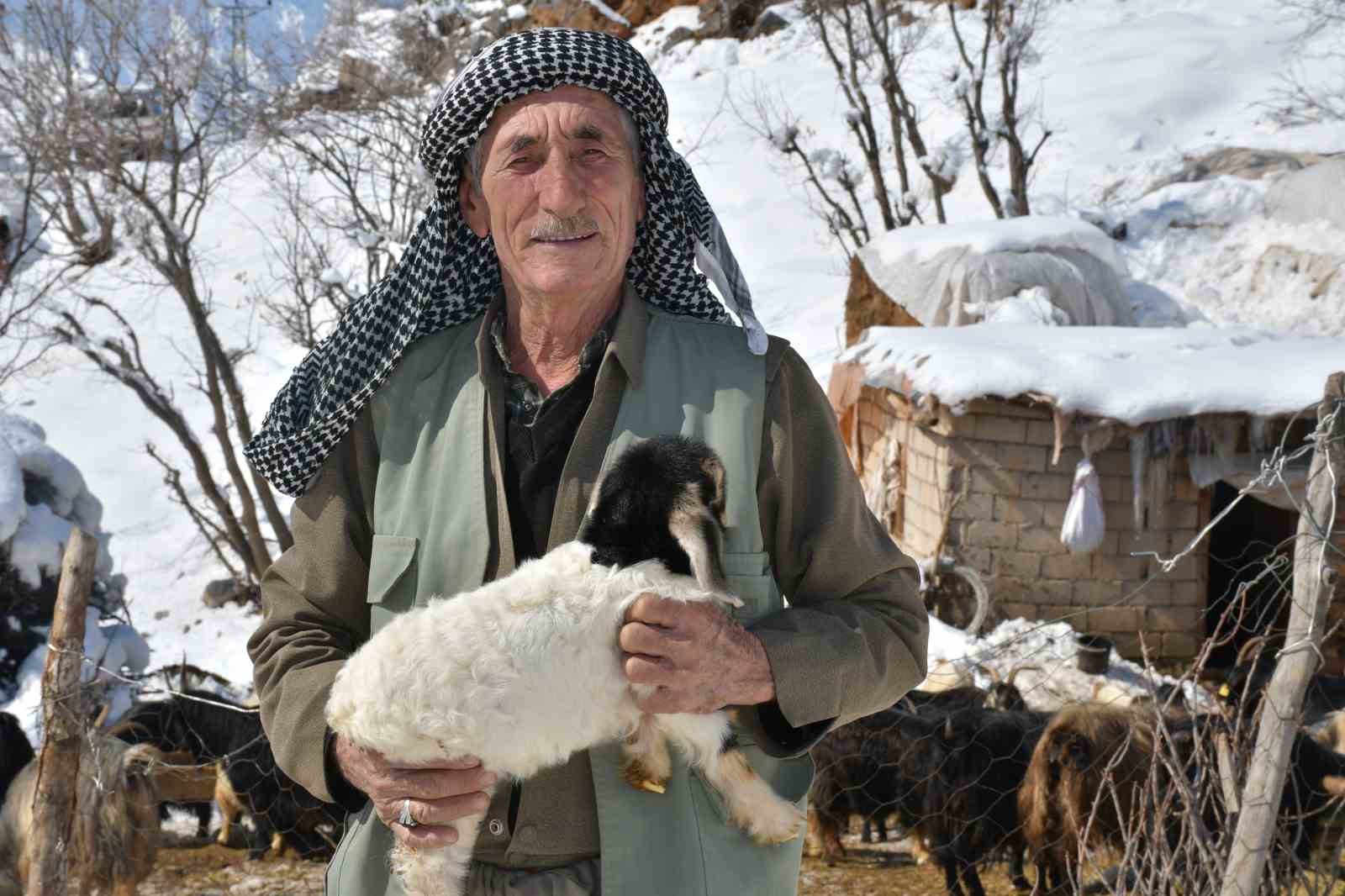 sirnakta keci besiciligi gittikce yok oluyor 7 6wMzJsz7