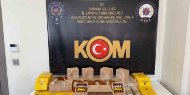sirnakta-narkotik-kacakcilik-ve-asayis-operasyonu-3-tutuklama-IzMQsLtz.jpg