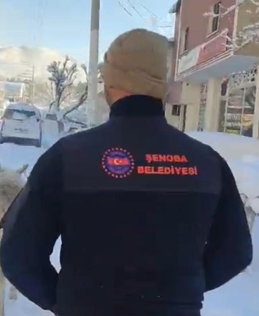 sirnakta-sokak-hayvanlari-barinaklara-toplandi-K1CFIxgT.jpg