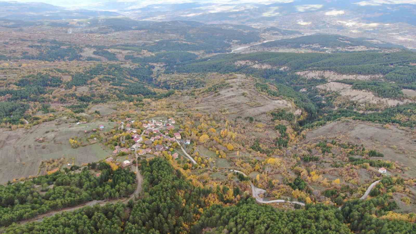 sis ve doganin bulusmasi mest etti 2 UXDiM3E1