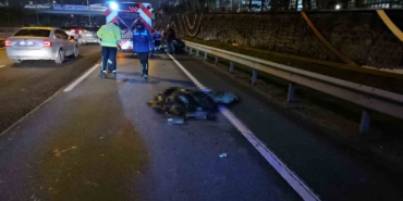 sislide-bariyerlere-carpan-motosikletli-feci-sekilde-hayatini-kaybetti-GJKlGQFZ.jpg