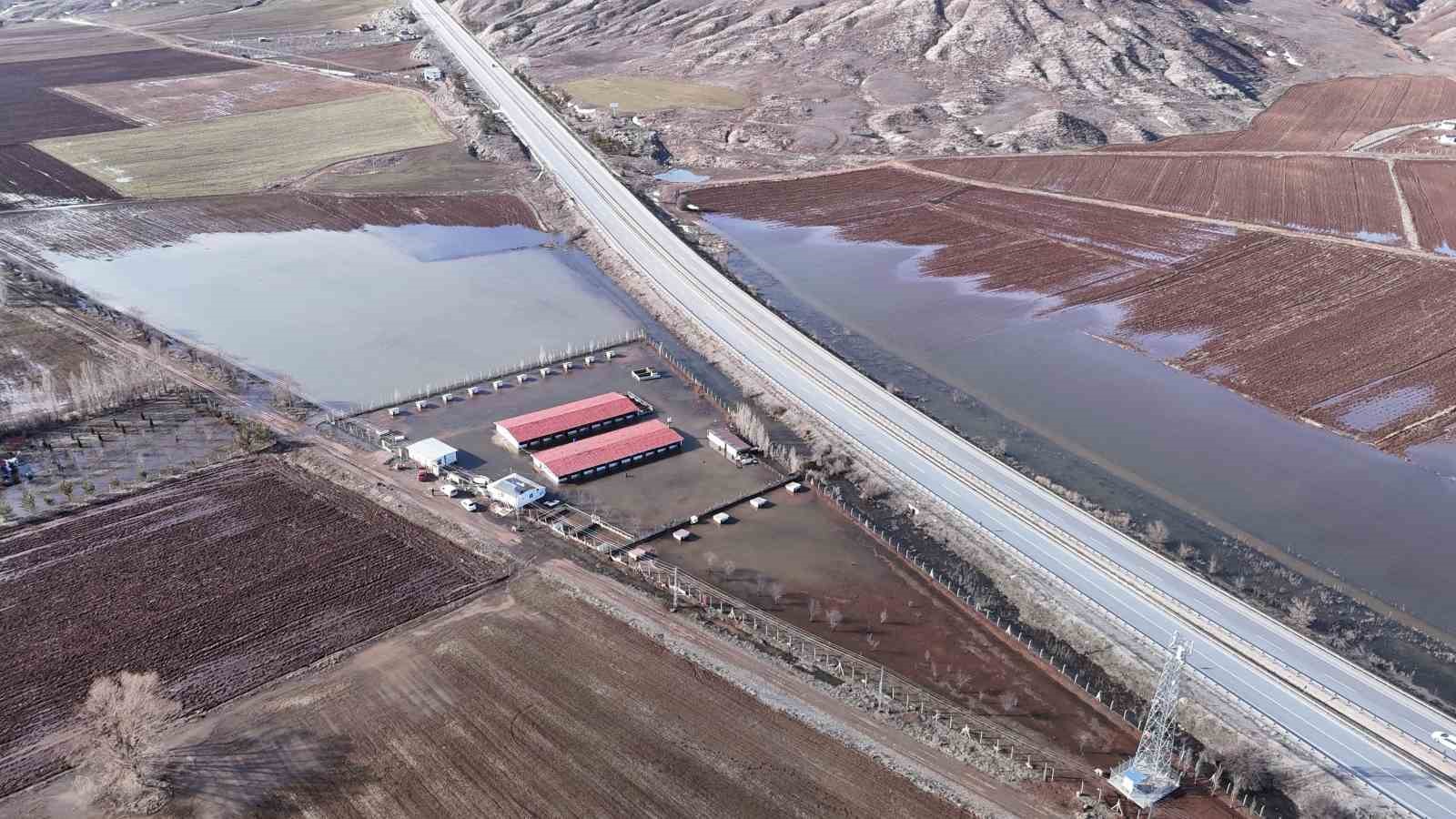 sivasin dunyaca unlu marka degeri anadolu aslanlari su altinda kaldi 1