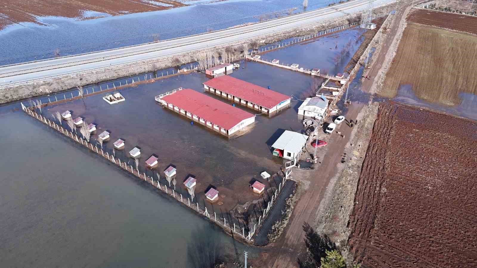 sivasin dunyaca unlu marka degeri anadolu aslanlari su altinda kaldi 3 wMadLdk4