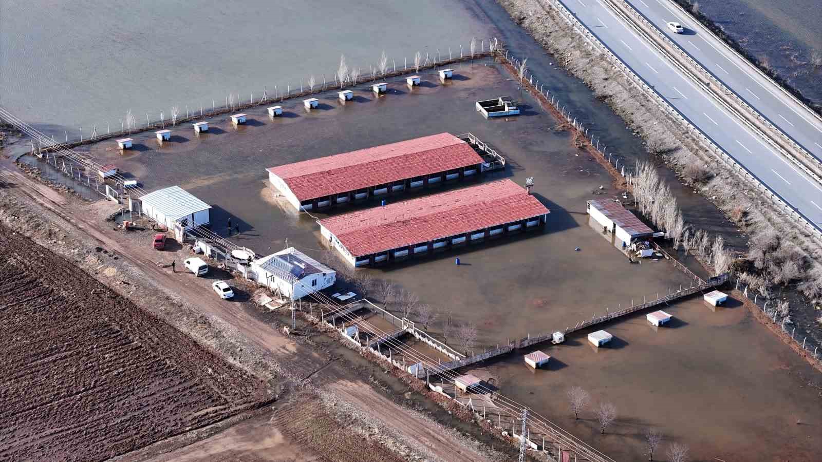 sivasin dunyaca unlu marka degeri anadolu aslanlari su altinda kaldi 4 YwFH1QE8