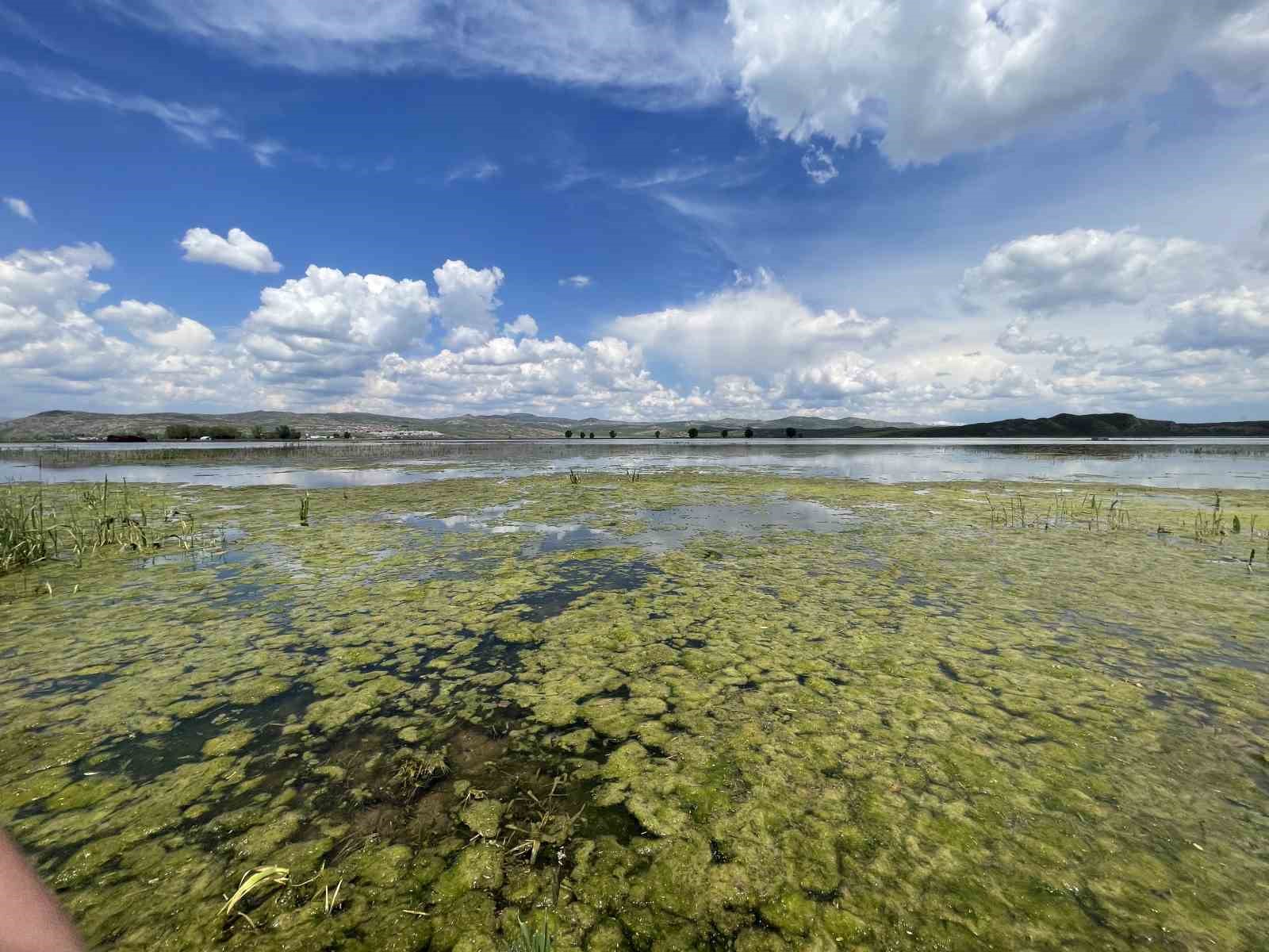 sivasin iklimi degisti bozkira adeta deniz geldi 1 dX92FZum