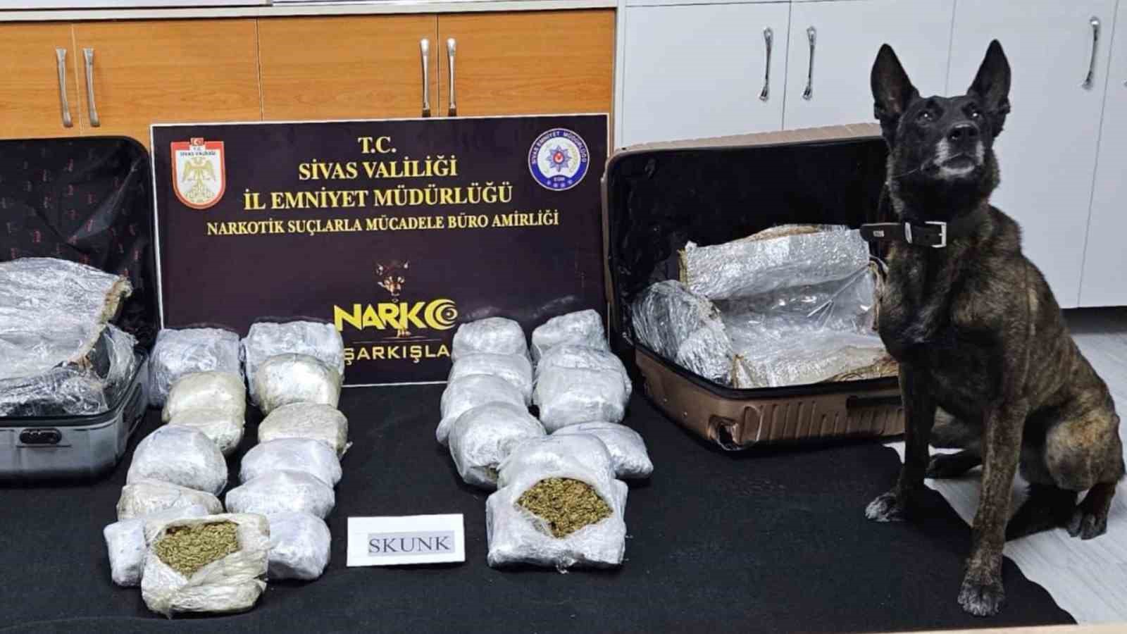 sivasta 12 kilo uyusturucu ele gecirildi 2 tutuklama 1 6Dls3ePw