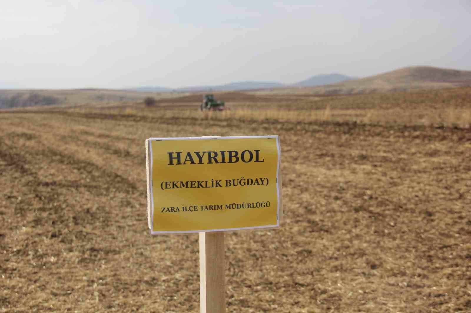 sivasta 5 farkli ekmeklik bugday pilot bolgede toprakla bulusturuldu 1 ACweqYBu