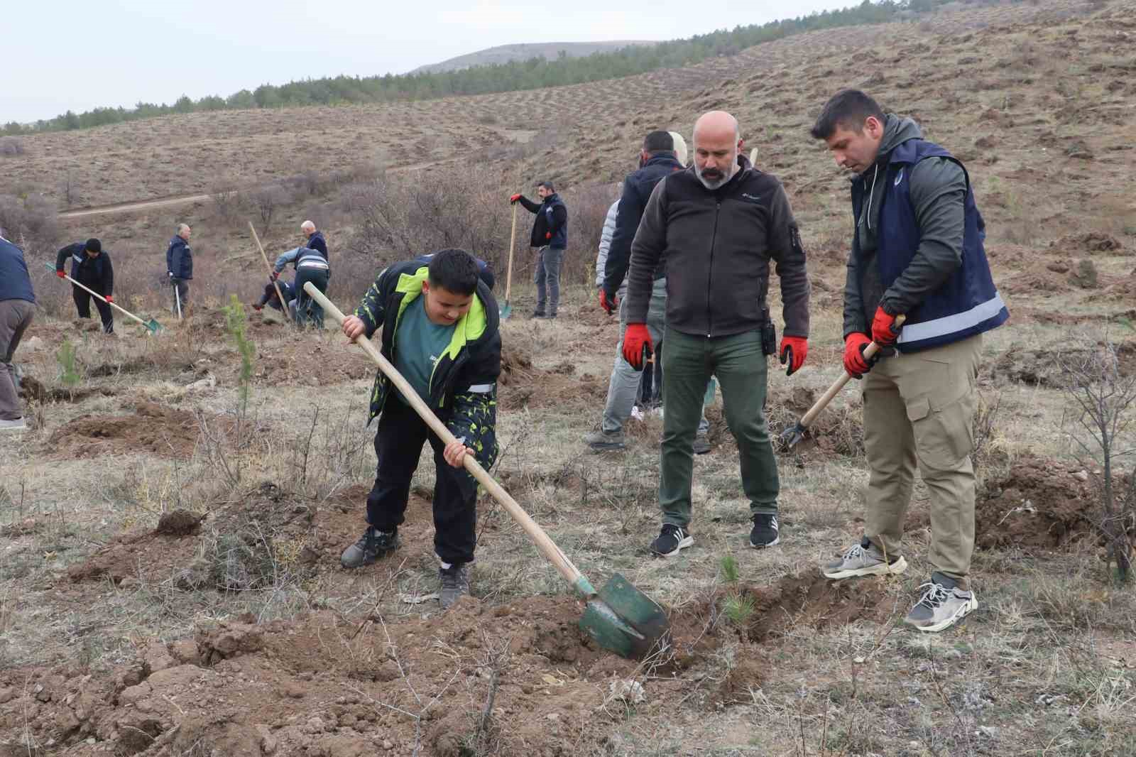 sivasta 58 bin fidan toprakla bulusturuldu 2 LVfNMeXF