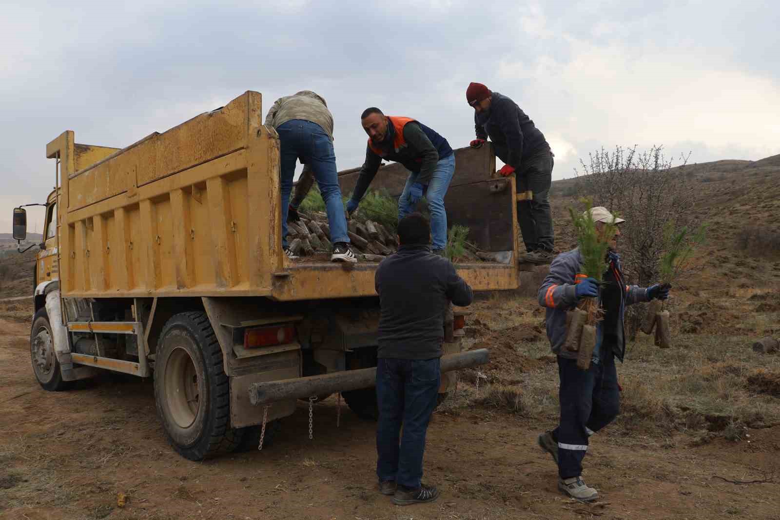 sivasta 58 bin fidan toprakla bulusturuldu 6 DXAA5gP1