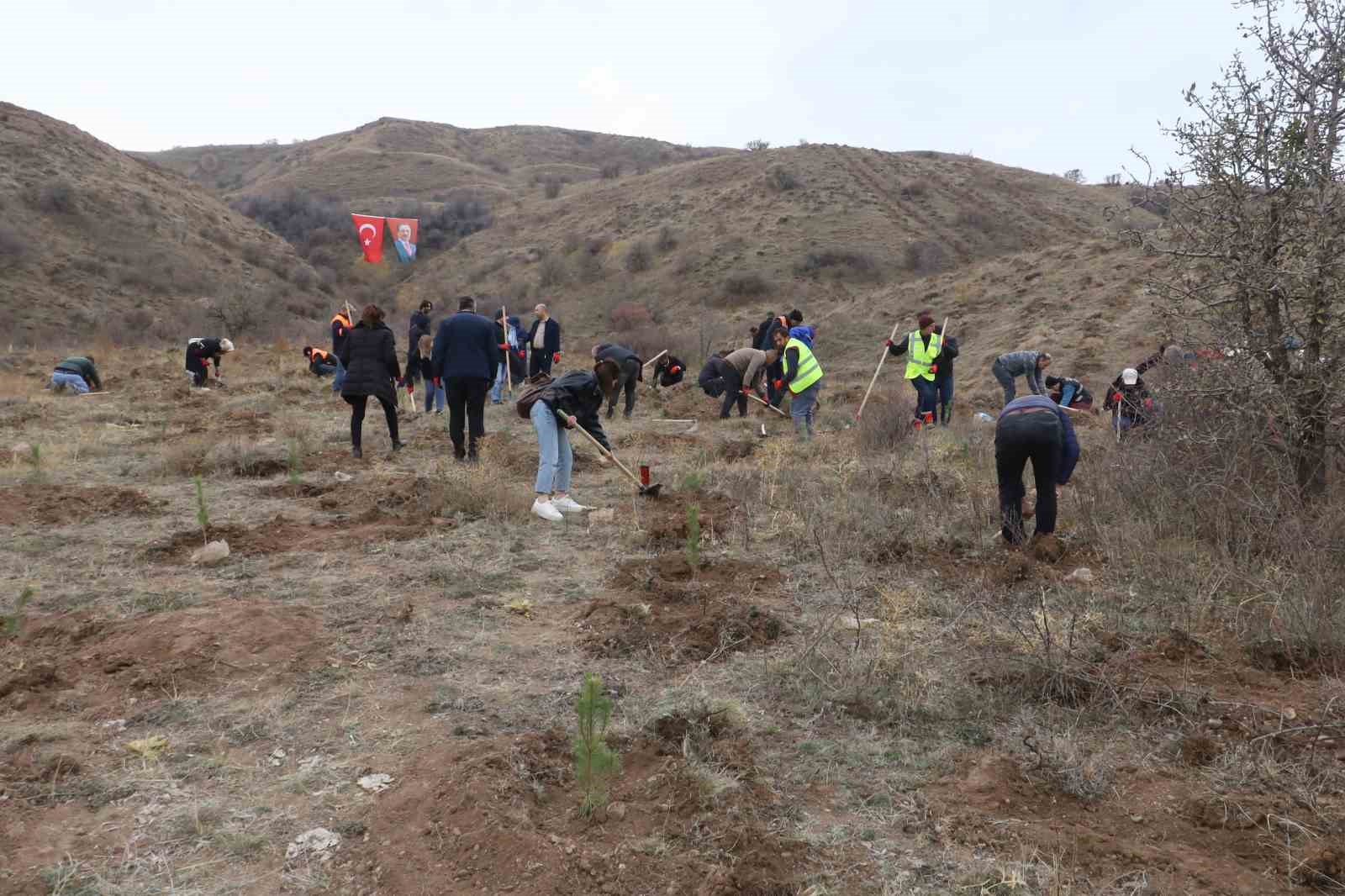 sivasta 58 bin fidan toprakla bulusturuldu 8 MpcwQKM6