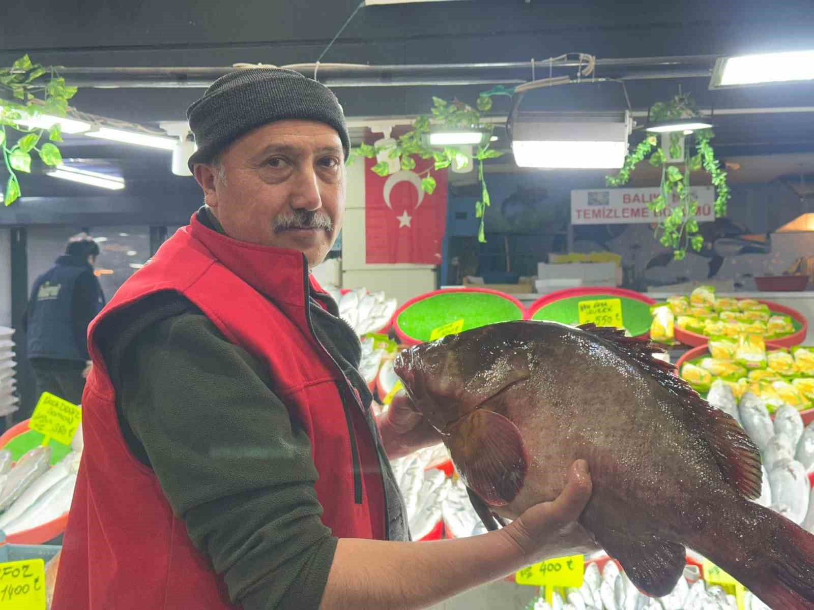 sivasta 75 kiloluk orfoz baligi tezgahin agasi oldu 0 PjadAag8