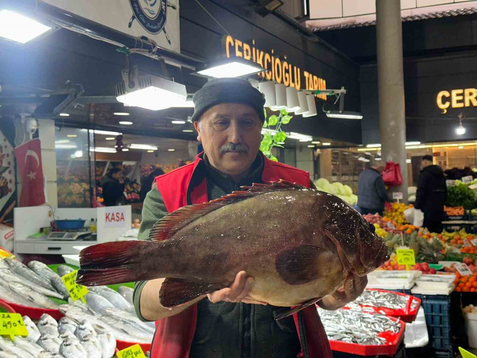 sivasta 75 kiloluk orfoz baligi tezgahin agasi oldu 4 TBhTpGaV