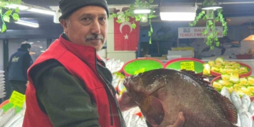 sivasta-75-kiloluk-orfoz-baligi-tezgahin-agasi-oldu-tEwftWxF.jpg