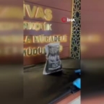 sivasta-89-bin-559-adet-k-gida-emdirilmis-uyusturucu-madde-ele-gecirildi-AZRHzfxn.jpg