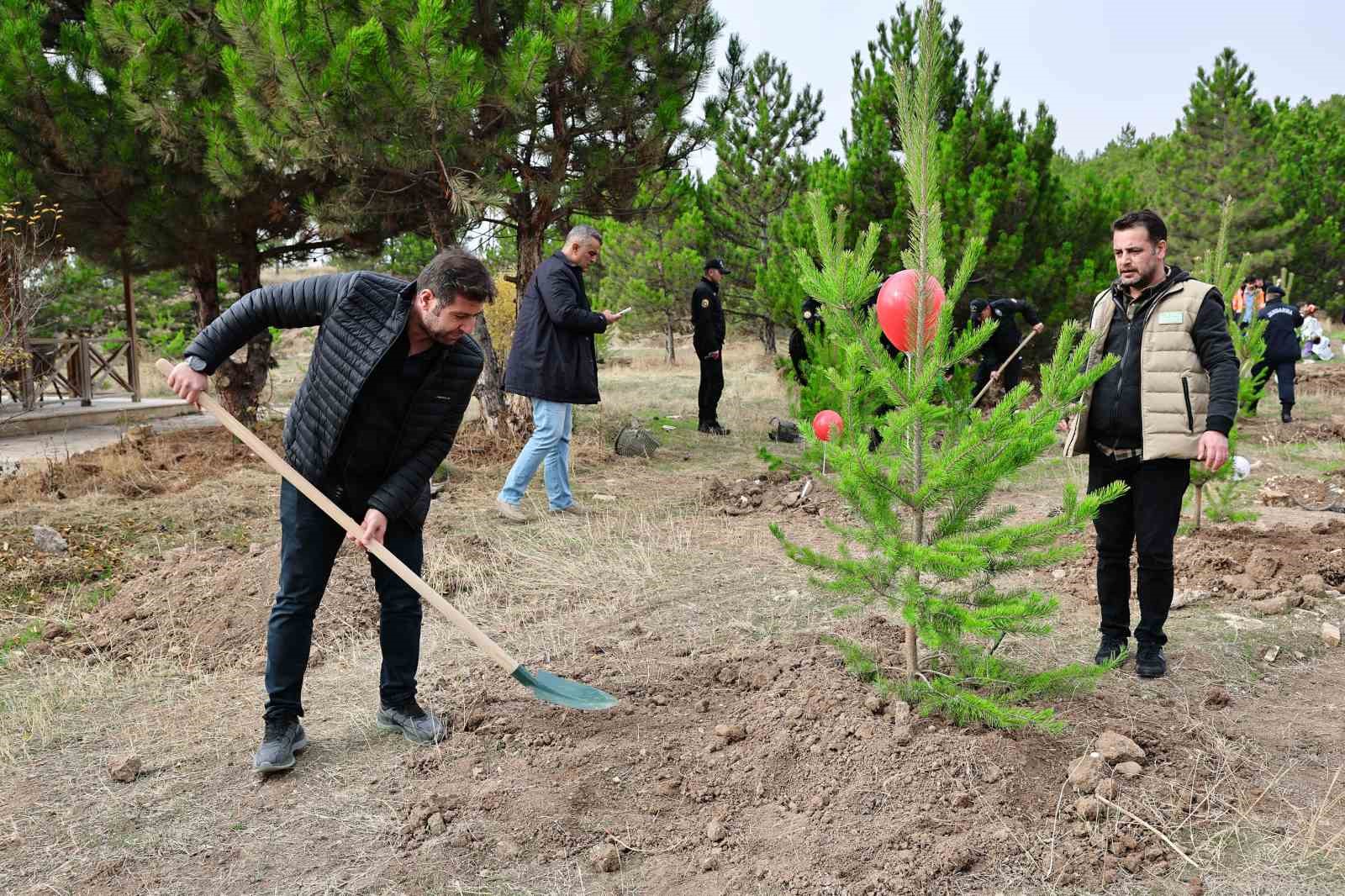 sivasta 90 bin fidan toprakla bulustu 1 2IzdfRdZ