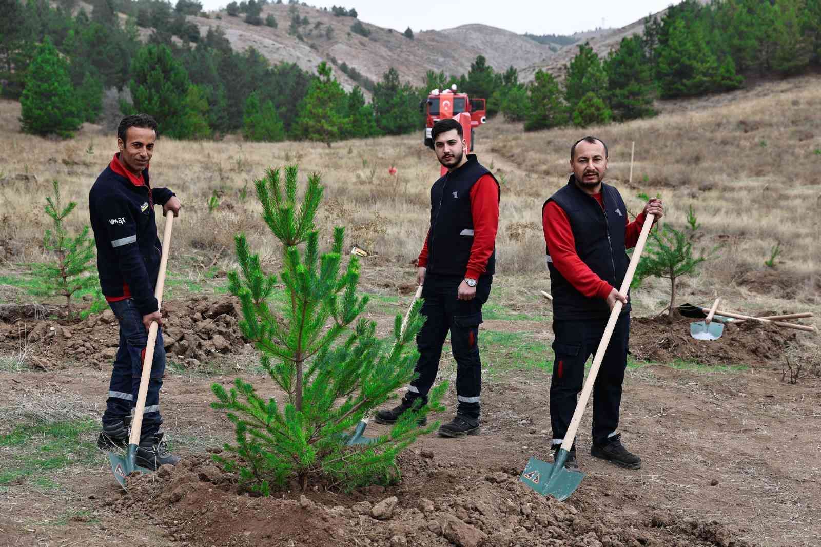 sivasta 90 bin fidan toprakla bulustu 6 MPQnRMNE