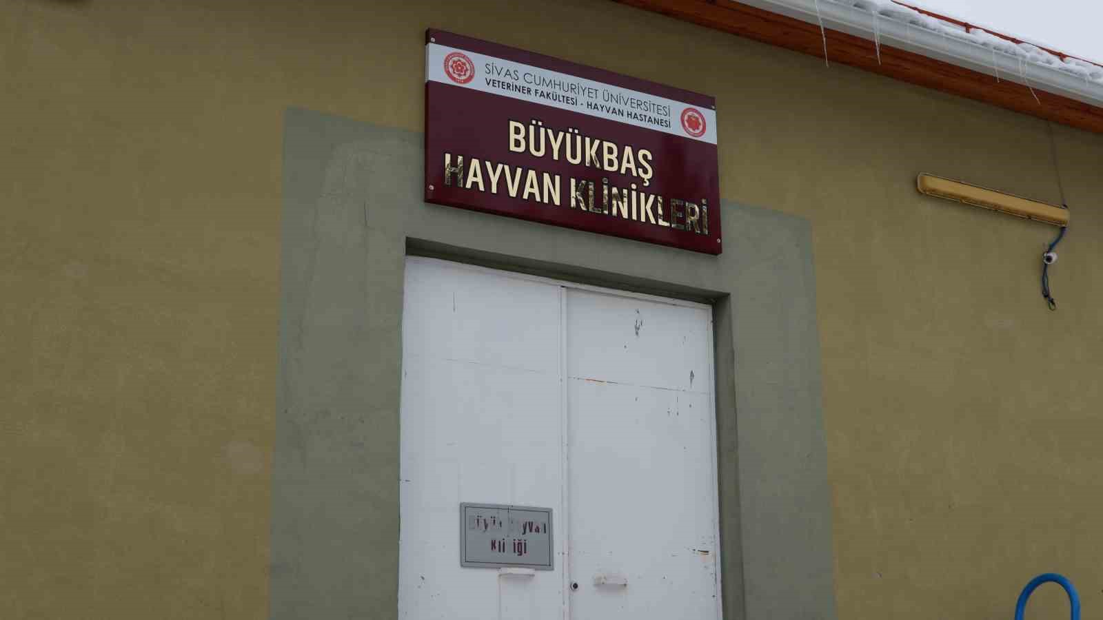 sivasta acilan acil klinikte yarali hayvanlara mesai saatleri disinda da mudahale ediliyor 4 IDLPOpvK