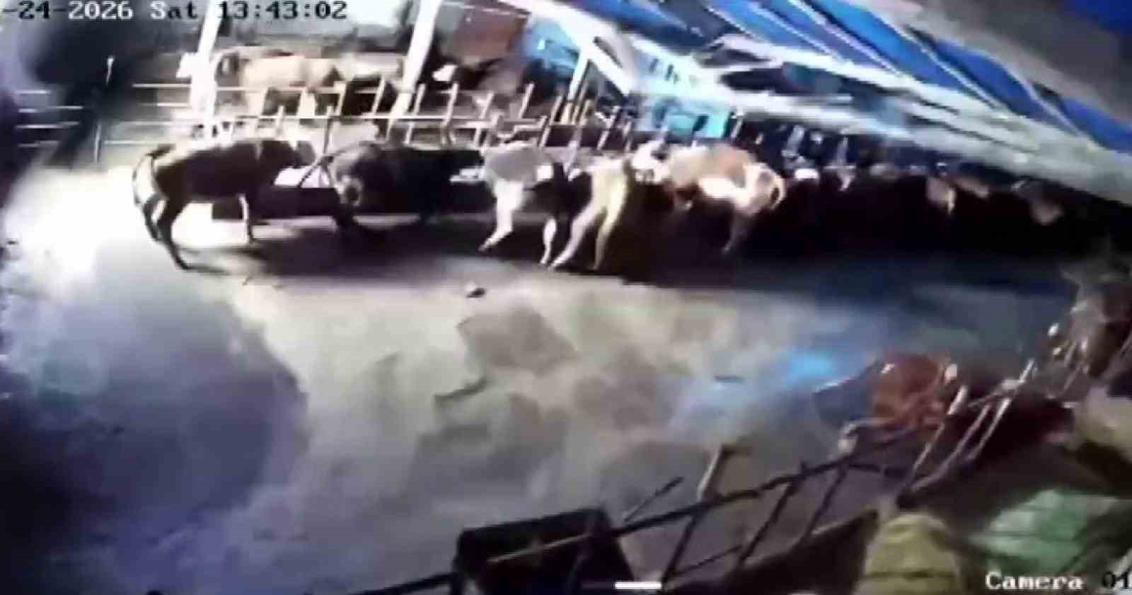sivasta ahir coktu o anlar guvenlik kamerasina yansidi 0 KYpn24OI