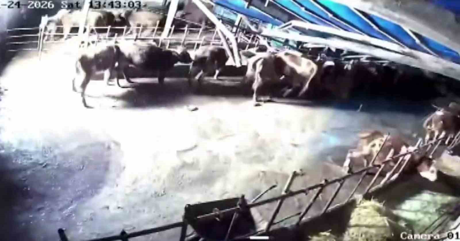 sivasta ahir coktu o anlar guvenlik kamerasina yansidi 1