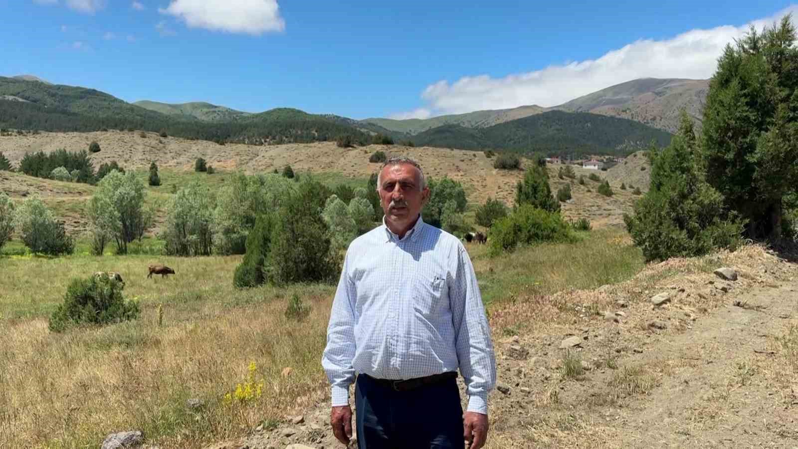 Sivas’ta anne ayı ve yavrusu cep telefonu kamerasıyla görüntülendi 4 sivasta anne ayi ve yavrusu cep telefonu kamerasiyla goruntulendi 0 QHBlyPiv