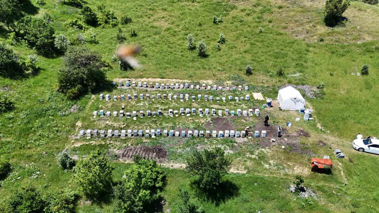Sivas’ta bu yıl bal üretiminde rekor bekleniyor 5 sivasta bu yil bal uretiminde rekor bekleniyor 1 HGzpimKM