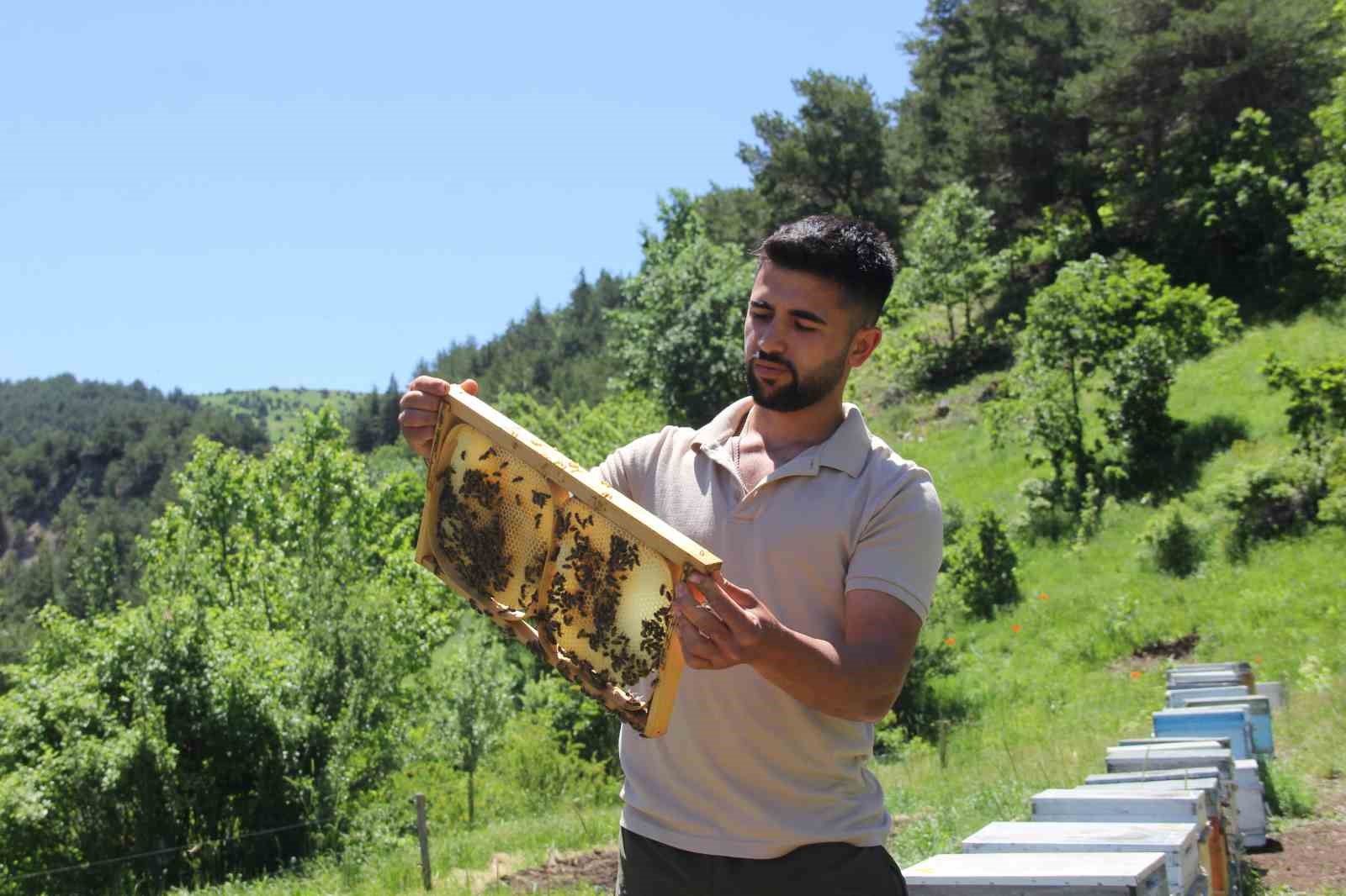 Sivas’ta bu yıl bal üretiminde rekor bekleniyor 7 sivasta bu yil bal uretiminde rekor bekleniyor 3 gMgDZScV