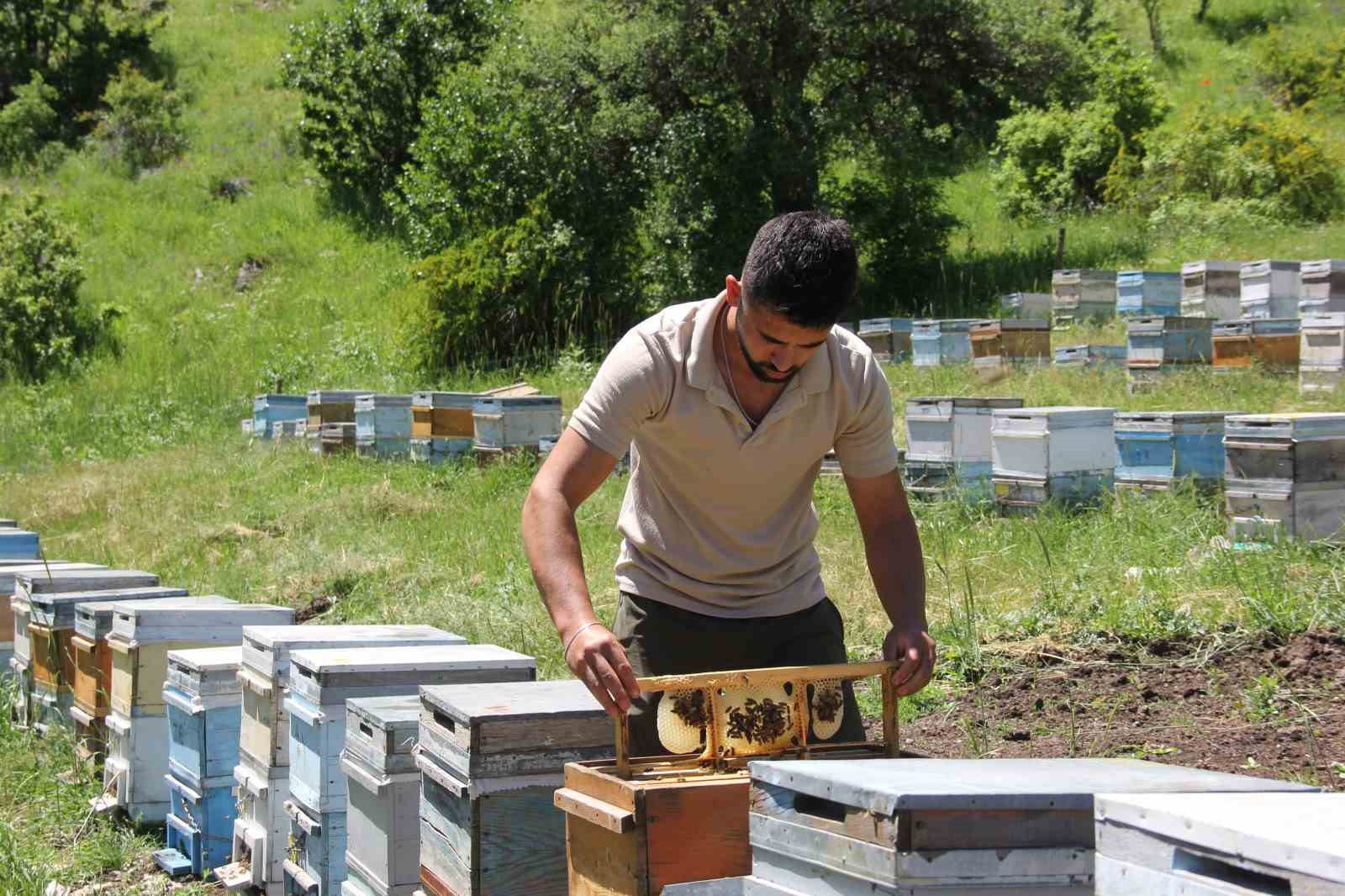 Sivas’ta bu yıl bal üretiminde rekor bekleniyor 9 sivasta bu yil bal uretiminde rekor bekleniyor 5