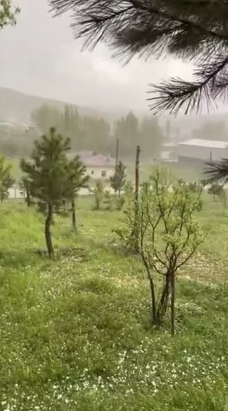 sivasta findik buyuklugunde dolu yagdi agaclar cicek doktu 1 qNewpA9i
