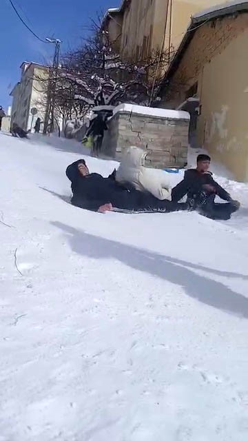 sivasta kar ve dondurucu soguk renkli goruntuler olusturdu 2 pDLJL59f