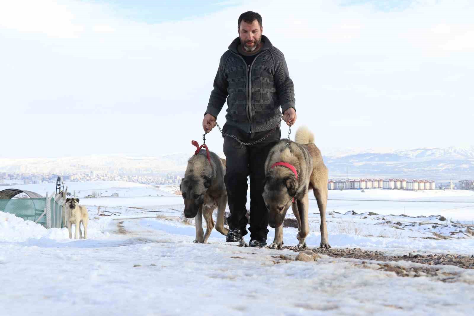 sivasta kar yagdi kangallar ozune dondu 3 6vqn153A