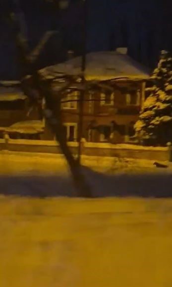 sivasta kurtlar tedirgin etmeye basladi 2 KDUsHs6P