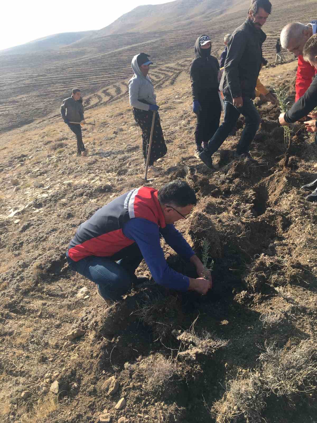 sivasta meralar on binlerce tuz calisi ile yeserecek 4