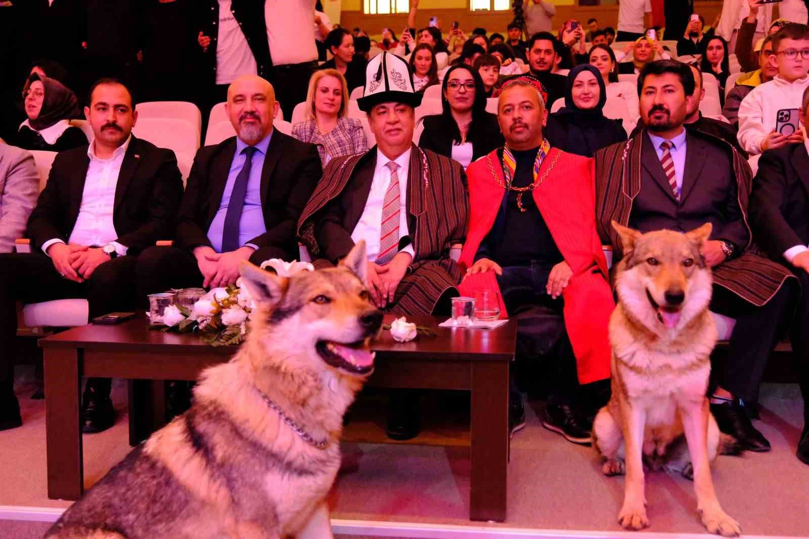 sivasta nevruz kutlamalarinda renkli goruntuler sahneye kurtlar cikti sahin havada uctu 2 PPz9Z6YK