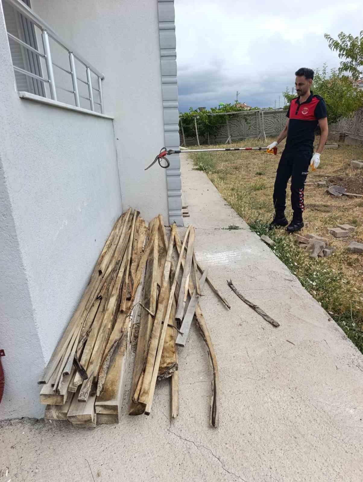 sivasta odun yiginlarinin arasina giren yilan itfaiye ekiplerini harekete gecirdi 0 eZtTy2Pz
