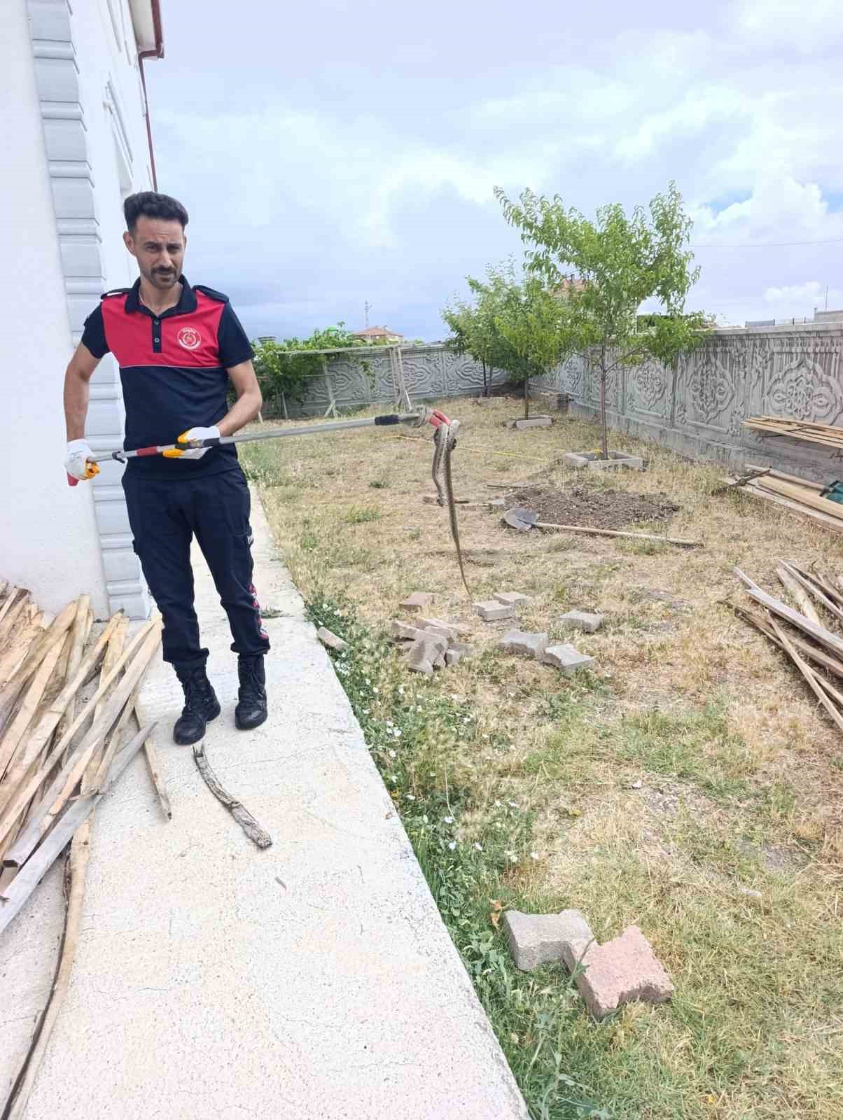 sivasta odun yiginlarinin arasina giren yilan itfaiye ekiplerini harekete gecirdi 1