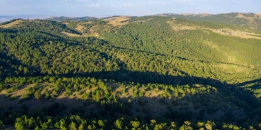 sivasta-ormanlik-alanlara-giris-yasaklandi-SQPAhFkX.jpg