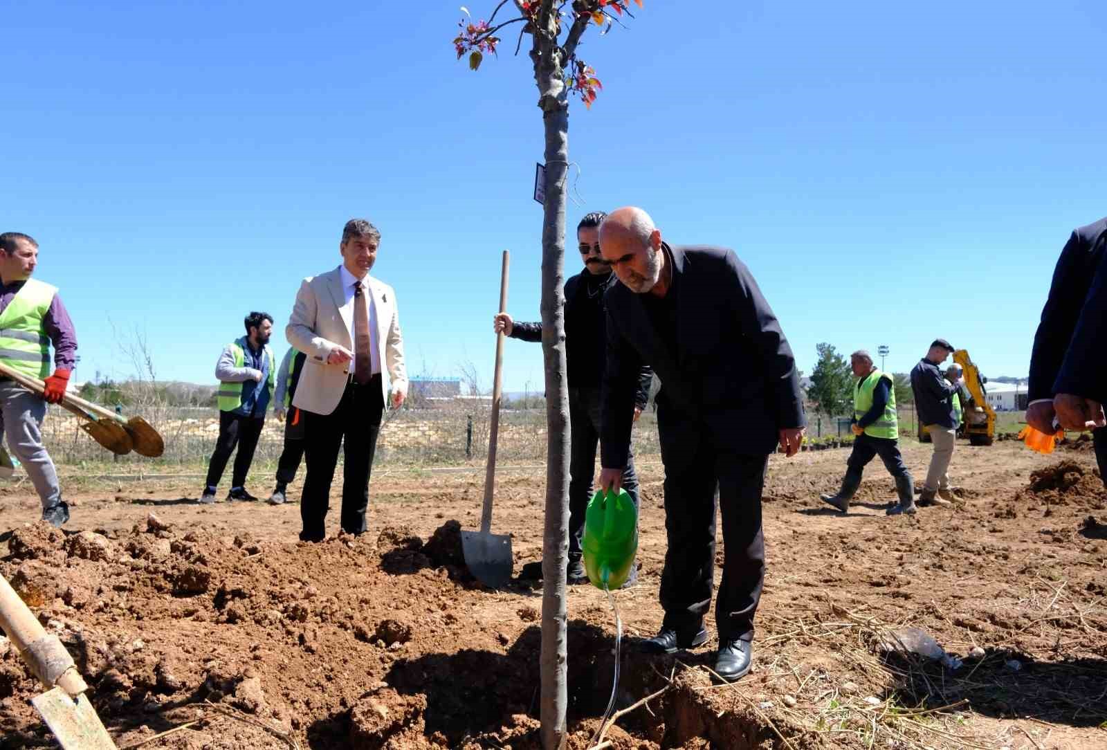 Sivas’ta şehitlerin adı fidanlarda yaşatılacak 6 sivasta sehitlerin adi fidanlarda yasatilacak 2 D3dSFNGf