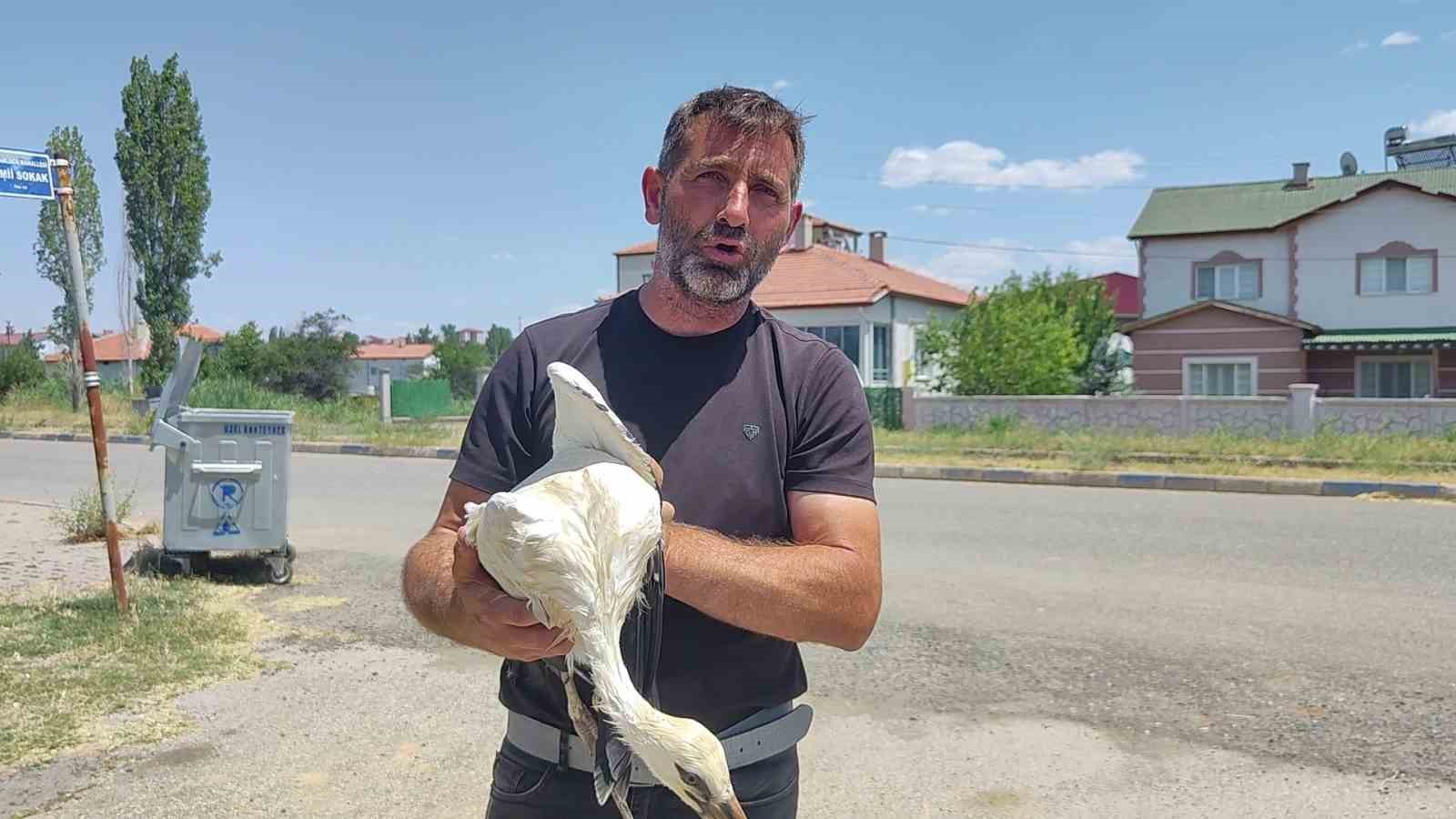 Sivas’ta sıcaktan baygınlık geçiren leyleğin imdadına itfaiye ekipleri koştu 5 sivasta sicaktan bayginlik geciren leylegin imdadina itfaiye ekipleri kostu 1 RSdBPCHg