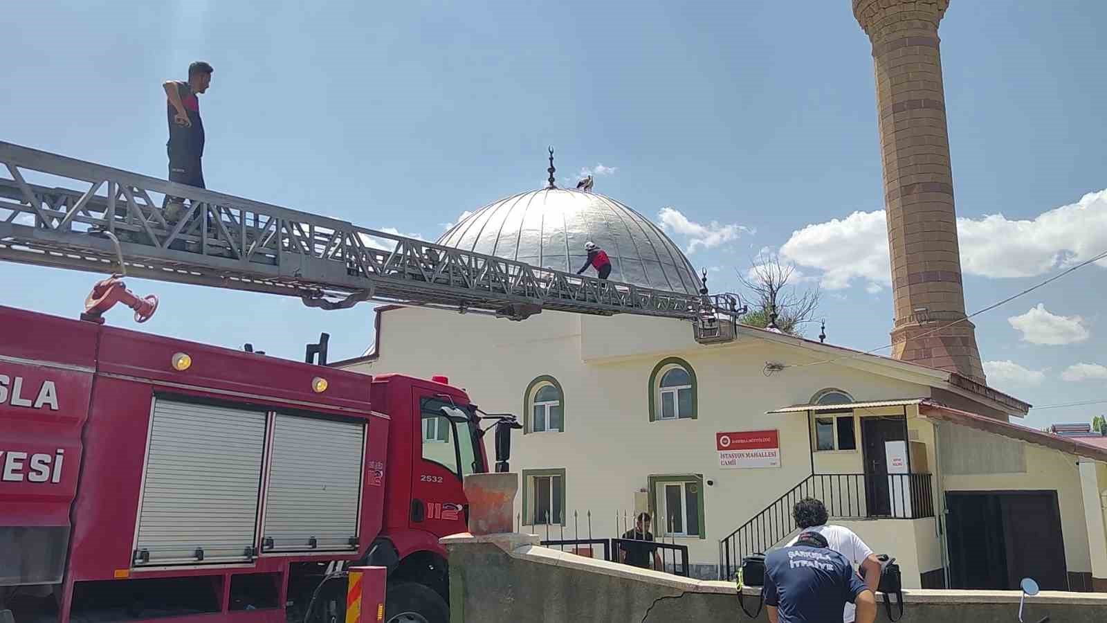 Sivas’ta sıcaktan baygınlık geçiren leyleğin imdadına itfaiye ekipleri koştu 6 sivasta sicaktan bayginlik geciren leylegin imdadina itfaiye ekipleri kostu 2 RsBnTQjt