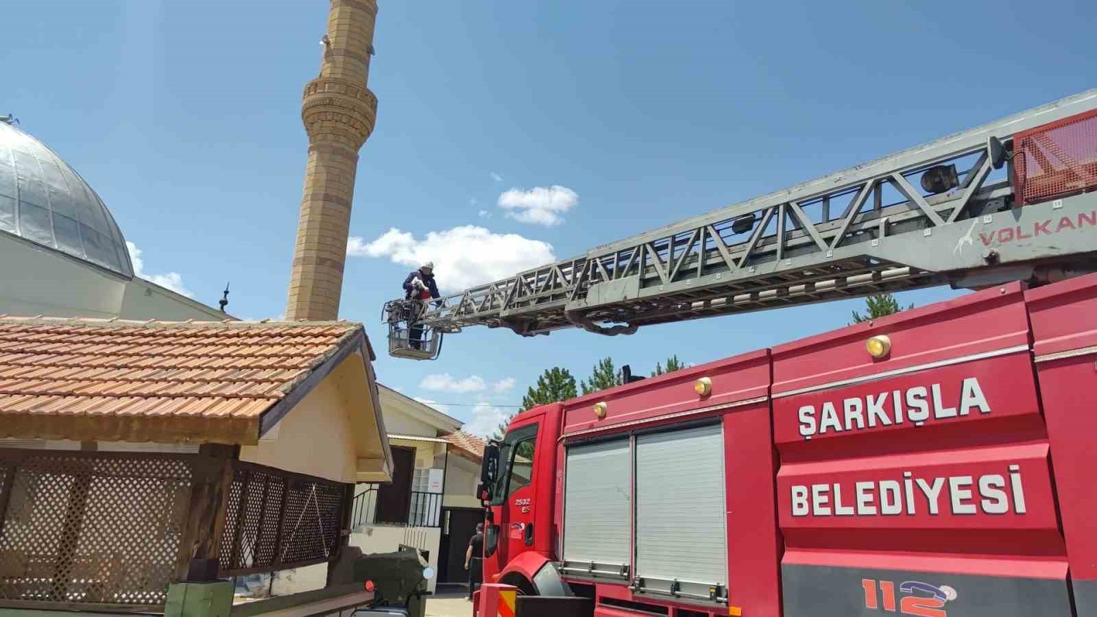 Sivas’ta sıcaktan baygınlık geçiren leyleğin imdadına itfaiye ekipleri koştu 7 sivasta sicaktan bayginlik geciren leylegin imdadina itfaiye ekipleri kostu 3 EiBnVPlh
