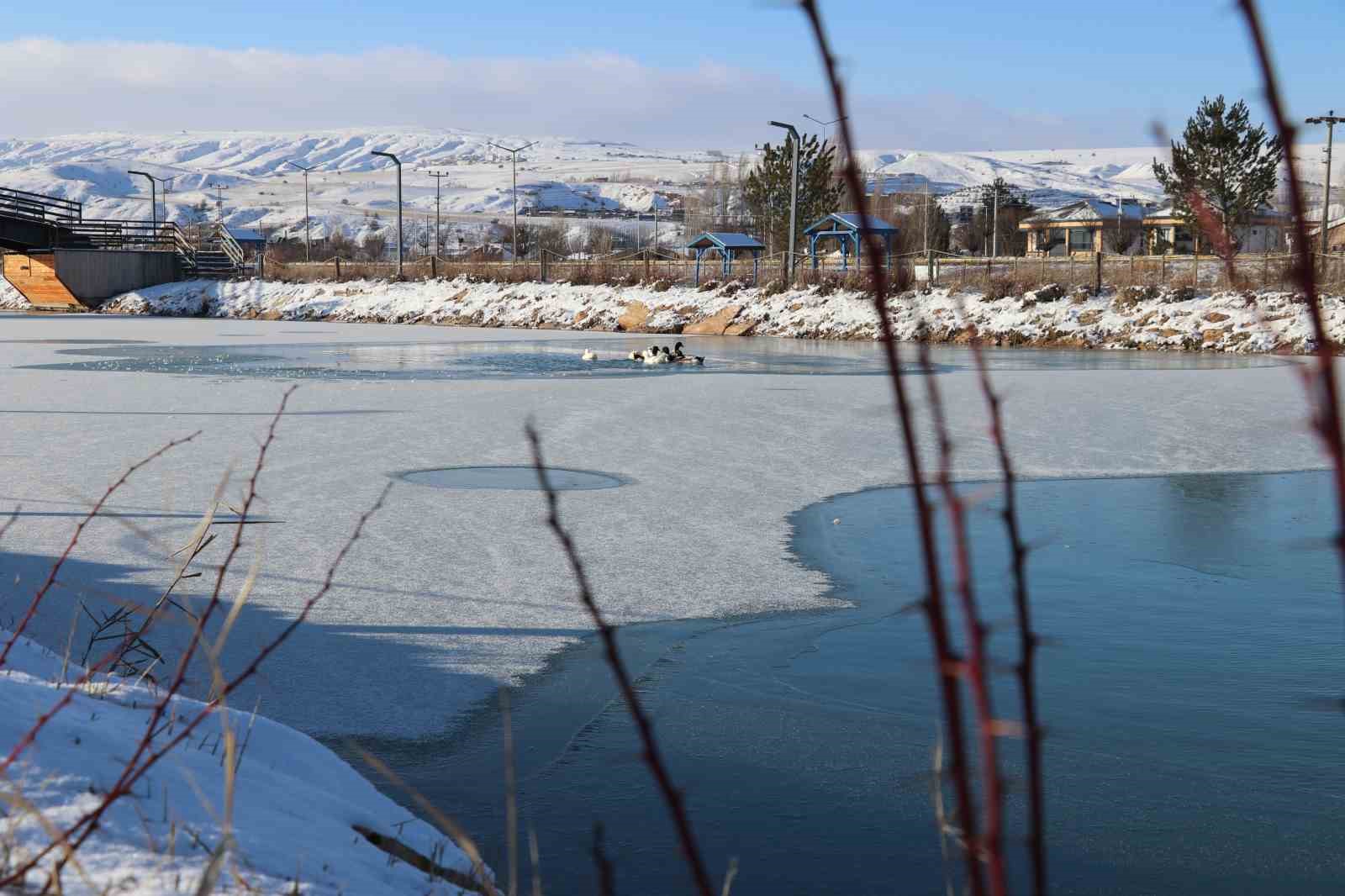 sivasta soguk hava etkisini gosterdi ordeklerin oldugu golet kismen dondu 5 snDTZPGm