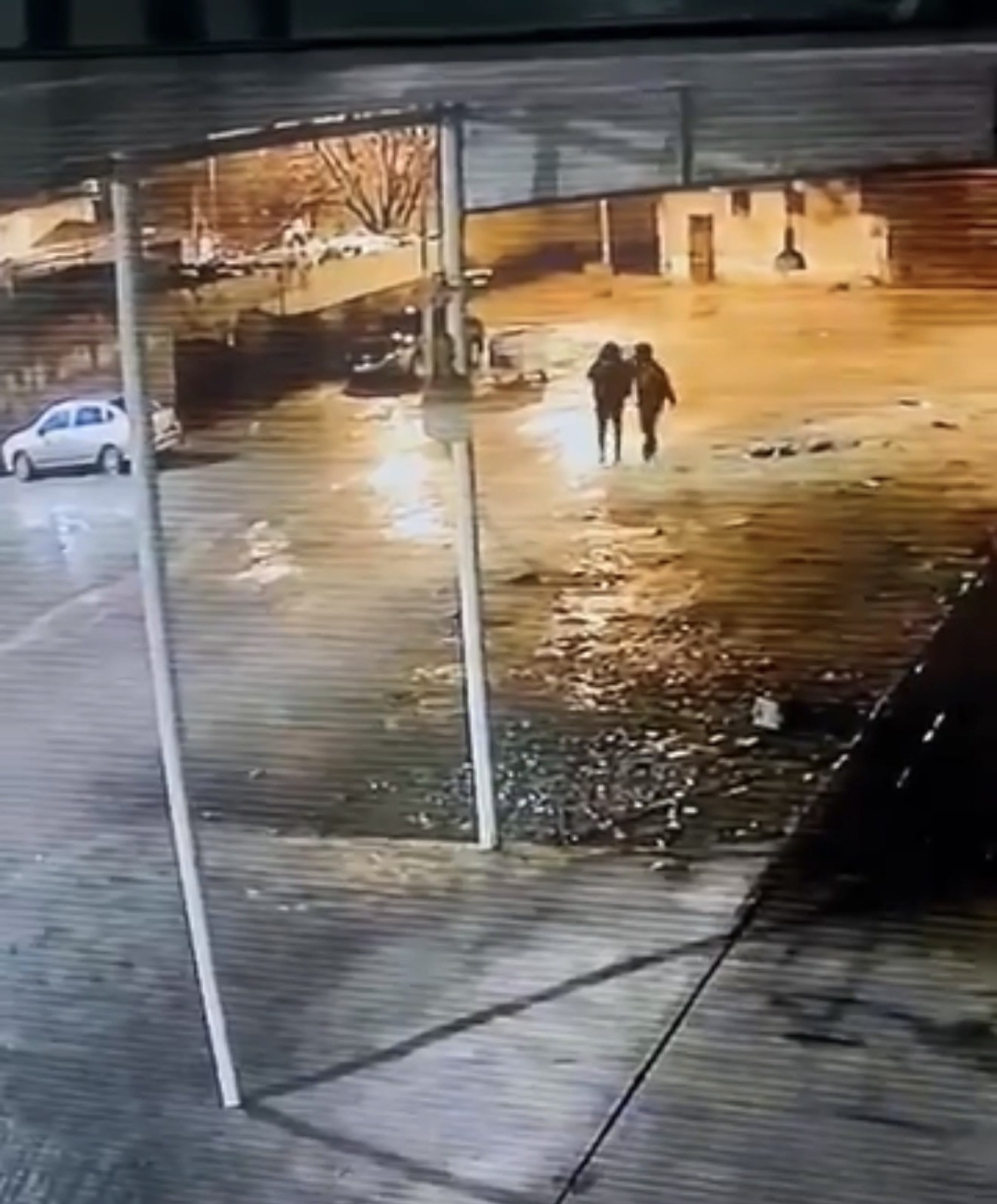 siverekte 19 koyun calindi hirsizlik ani kamerada 0 PkhuhQwQ