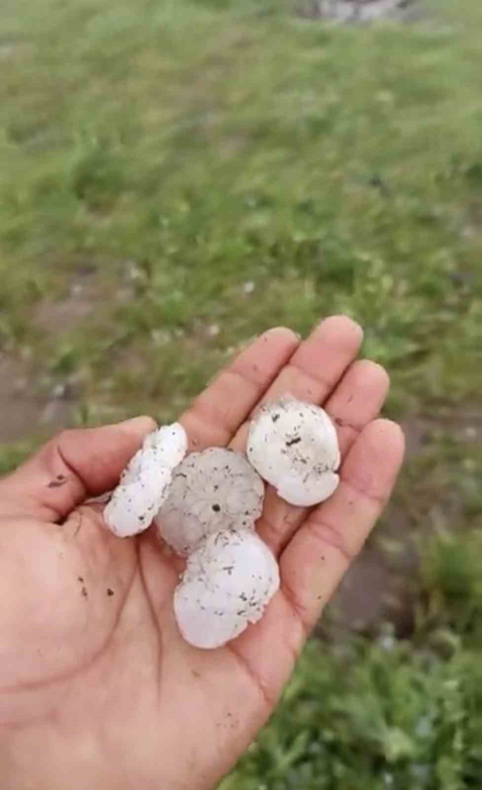 siverekte ceviz buyuklugunde dolu yagdi 1 TyeO5bJs