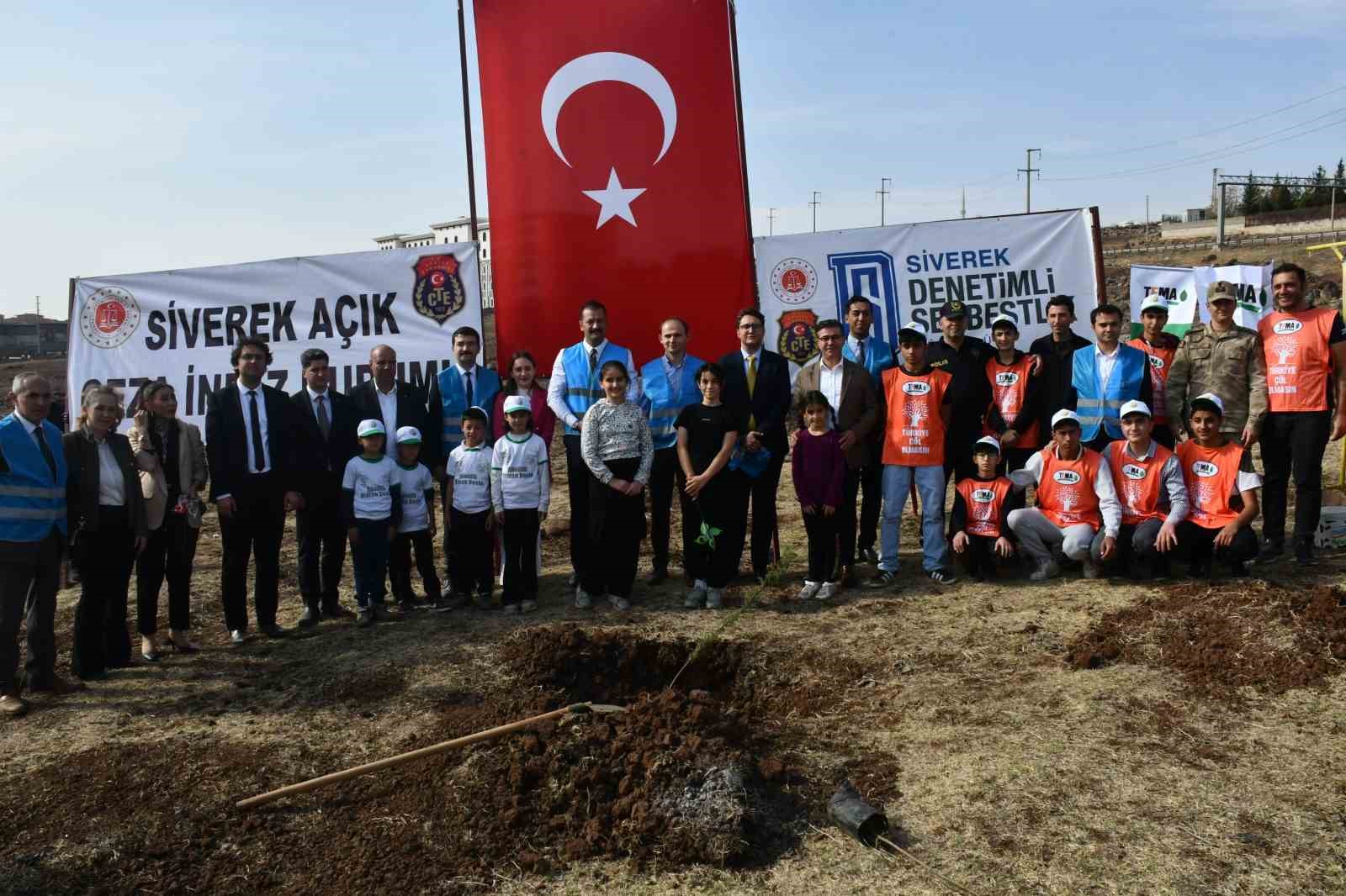 siverekte fidanlar gelecege nefes olacak 1 pZhb69cF