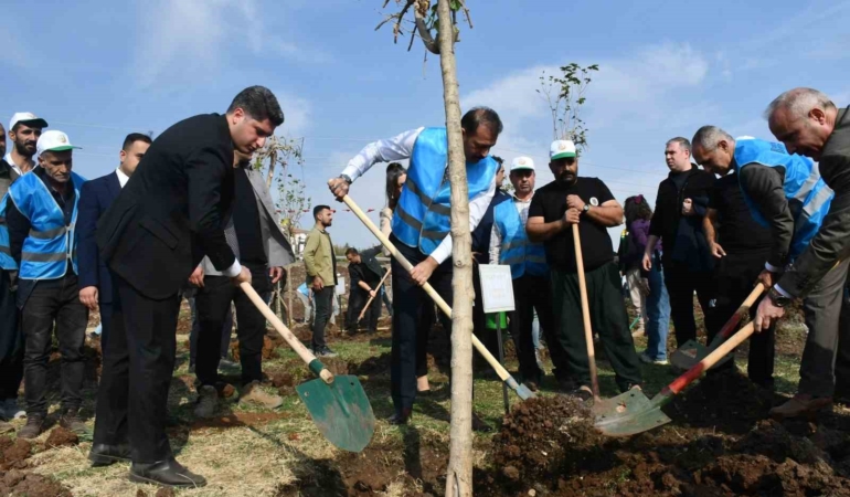 siverekte-fidanlar-gelecege-nefes-olacak-DDrs1pHn.jpg