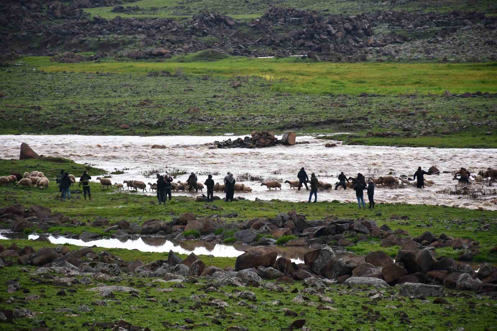 siverekte saganak sonrasi derede mahsur kalan coban ve koyun surusu kurtarildi 5 cWrhh8RO