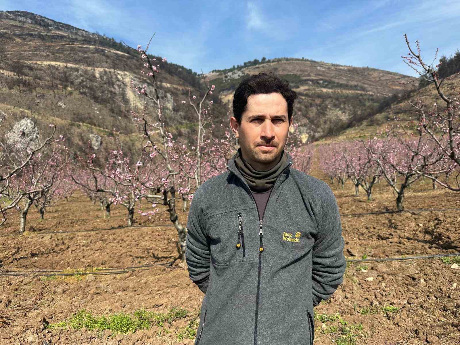 siyahlarin ardinda acan pembe seftali cicekleri 7